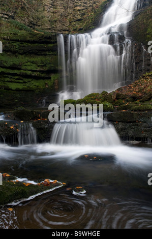 Dettaglio della cascata di un attrazione turistica in Yorkshire Dales, forza Scaleber vicino a Settle, nello Yorkshire, Inghilterra, Regno Unito Foto Stock