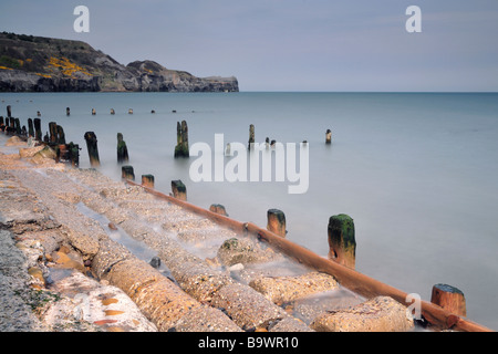 Pennelli erosa sulla spiaggia a Sandsend vicino a Whitby, nello Yorkshire, Regno Unito Foto Stock