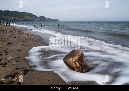 Driftwood sulla spiaggia a Sandsend vicino a Whitby, nello Yorkshire, Inghilterra, Regno Unito Foto Stock
