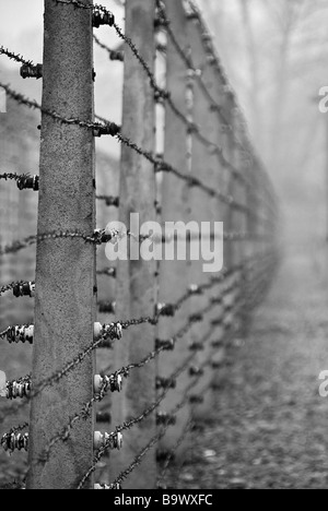 Viste del campo di concentramento di Auschwitz-Birkenau, Polonia, Europa Foto Stock