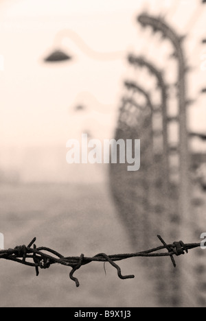 Viste del campo di concentramento di Auschwitz-Birkenau, Polonia, Europa Foto Stock