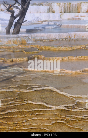 Abstract di travertino battute piscina presso la terrazza principale a Mammoth Hot Springs Yellowstone National Park Wyoming usa in inverno Foto Stock