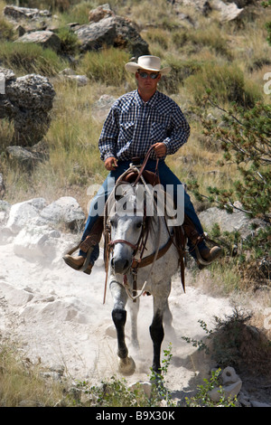 Il cappello da cowboy wrangler fili guida Cedar Mountain Trail Rides Cody Wyoming USA Foto Stock