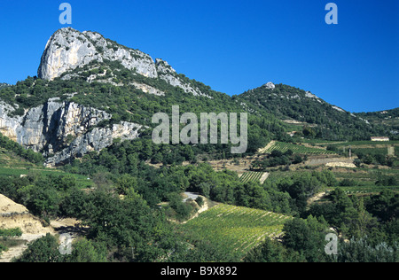 Dentelles de Montmirail colline o sperone roccioso, Vaucluse Provence, Francia Foto Stock
