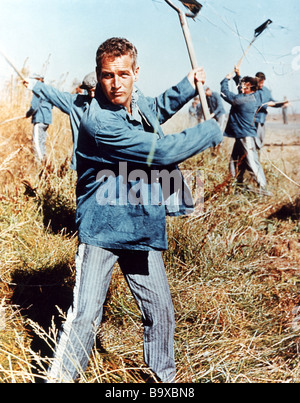 COOL HAND LUKE 1967 Warner film con Paul Newman Foto Stock