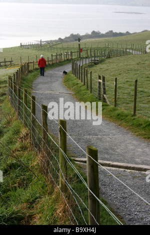 Corsia di avvolgimento da Strangford Lough in Delamont Country Park, County Down, Irlanda del Nord Foto Stock