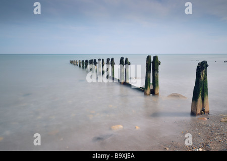 Pennelli erosa sulla spiaggia a Sandsend vicino a Whitby, nello Yorkshire, Regno Unito, Europa Foto Stock