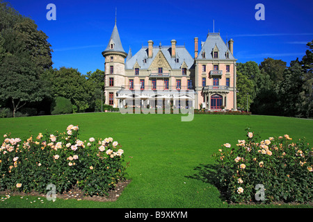 Chateau Schadau presso il lago di Thun il cantone di Berna Svizzera Thunersee Foto Stock