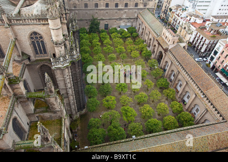 Patio de los Naranjos presso la Cattedrale di Siviglia a Siviglia Spagna Foto Stock