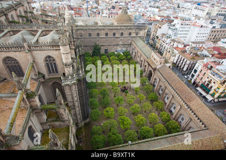 Patio de los Naranjos presso la Cattedrale di Siviglia a Siviglia Spagna Foto Stock