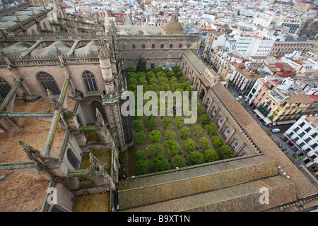 Patio de los Naranjos presso la Cattedrale di Siviglia a Siviglia Spagna Foto Stock