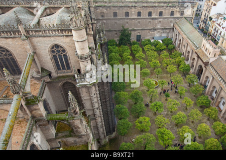 Patio de los Naranjos presso la Cattedrale di Siviglia a Siviglia Spagna Foto Stock