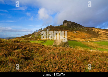 Vista degli scarafaggi nei pressi di porro in Staffordshire Peak District Foto Stock