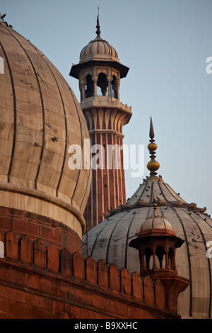 Le cupole della Jama Masjid o Moschea del Venerdì nella Vecchia Delhi India Foto Stock