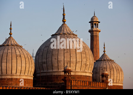 Le cupole della Jama Masjid o Moschea del Venerdì nella Vecchia Delhi India Foto Stock