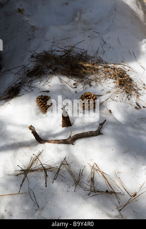Memoriale di un escursionista che è stato ucciso sul Monte Whitney Lone Pine Calilfornia USA Foto Stock