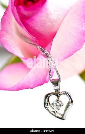 Cuore pendente con diamante con una rosa rosa Foto Stock