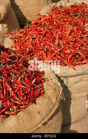 Sacchi di peperoncini rossi a Bhopal il mercato giornaliero, Bhopal, India Foto Stock