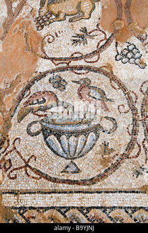 Un Romano pavimento a mosaico raffigurante uccelli di Cesarea parco nazionale di Israele Foto Stock