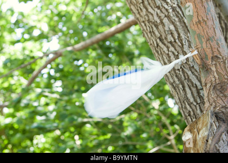 Il sacchetto in plastica catturati su albero Foto Stock