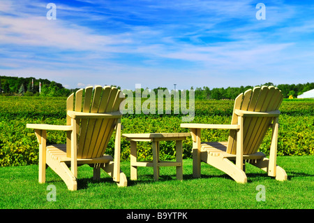 Muskoka tavolo e sedie vicino vigneto sotto il cielo blu Foto Stock