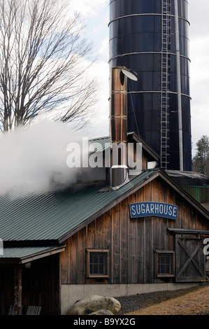 Casa di zucchero nel Vermont Foto Stock