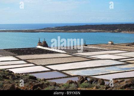 Salinas de Janubio, Lanzarote, Isole Canarie, Spagna Foto Stock