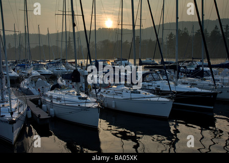 Yacht ormeggiati in Bowness Marina, Lago di Windermere, Parco Nazionale del Distretto dei Laghi, Cumbria, England Regno Unito Foto Stock