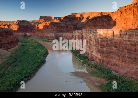 Il fiume Colorado da cloruro di potassio Road Island in the Sky District il Parco Nazionale di Canyonlands vicino a Moab Utah Foto Stock