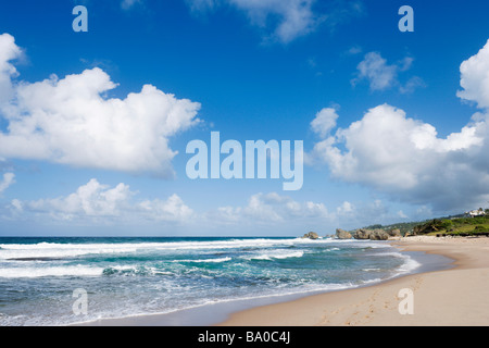 East Coast Beach vicino a Barclays Park Barbados Lesser Antilles West Indies Caraibi Foto Stock