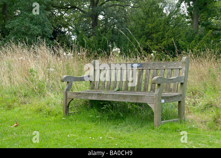 Un isolato panca in legno presso i Royal Botanical Gardens di Kew, Londra, Inghilterra Foto Stock