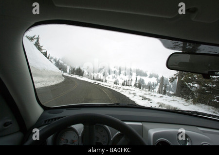 Vista dalla finestra Auto - Hurricane Ridge Road, il Parco Nazionale di Olympic, Washington Foto Stock