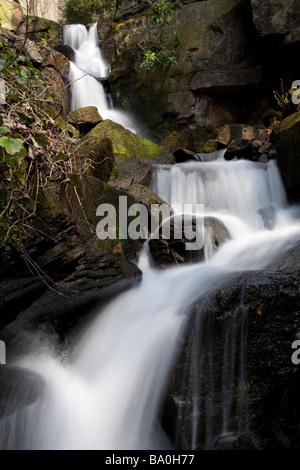 Una cascata in Bentley brook, Lumsdale Valley vicino a Matlock, Derbyshire. Foto Stock