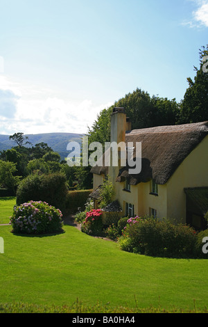 Bow Cottage - National Trust cottage con il tetto di paglia sulla Holnicote Estate su Selworthy verde, Somerset, Inghilterra, Regno Unito Foto Stock