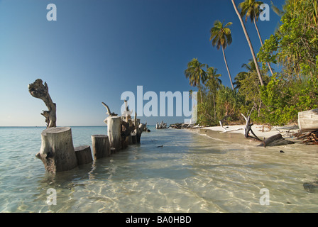 Una chiara spiaggia tropicale sull'isola di Zanzibar Tanzania Foto Stock
