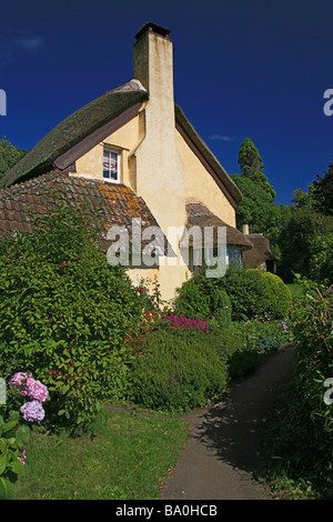 Bow Cottage - National Trust cottage con il tetto di paglia sulla Holnicote Estate su Selworthy verde, Somerset, Inghilterra, Regno Unito Foto Stock