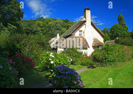 Bow Cottage - National Trust cottage con il tetto di paglia sulla Holnicote Estate su Selworthy verde, Somerset, Inghilterra, Regno Unito Foto Stock