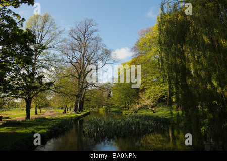 Canale alimentatore, Bute Park, Cardiff, Glamorgan, South Wales, Regno Unito Foto Stock