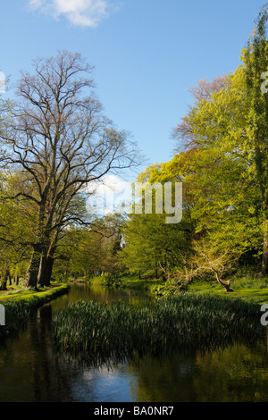 Canale alimentatore, Bute Park, Cardiff, Glamorgan, South Wales, Regno Unito Foto Stock