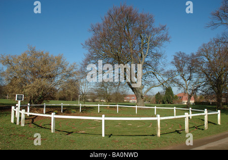 Turf dedalo, Ala, Rutland, England, Regno Unito Foto Stock