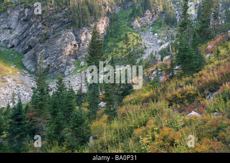 Colore di autunno sul pennello Canyon s piste alpine Grand Teton National Park Wyoming USA Foto Stock