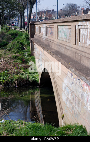 Fiume Cole, Yardley, Birmingham, West Midlands, England, Regno Unito Foto Stock