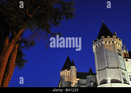 La Francia. Maine-et-Loire. Saumur castello di notte.. Foto Stock