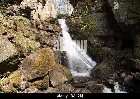 Una cascata in Bentley brook, Lumsdale Valley vicino a Matlock, Derbyshire. Foto Stock