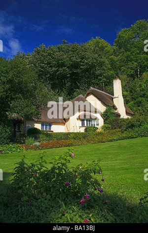 Un National Trust cottage con il tetto di paglia sulla Holnicote Estate su Selworthy verde, Somerset, Inghilterra, Regno Unito Foto Stock
