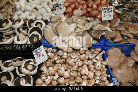 Una bancarella vendendo una vasta gamma di funghi al famoso Mercato di Borough in London REGNO UNITO Foto Stock