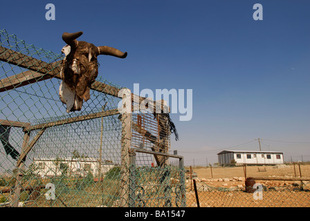 Vista di Mitzpe Yair insediamento non autorizzato di un insediamento israeliano situato nel sud delle colline di Hebron in Cisgiordania Israele Foto Stock