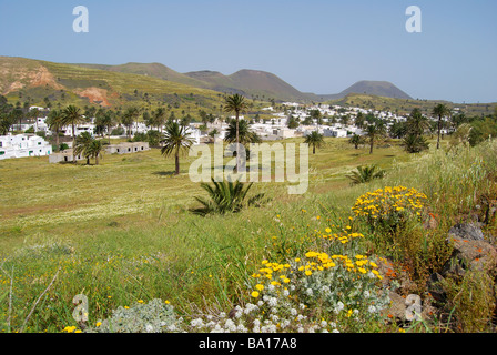 Valle di mille palme, Haria, Provincia di Las Palmas, Lanzarote, Isole Canarie, Spagna Foto Stock