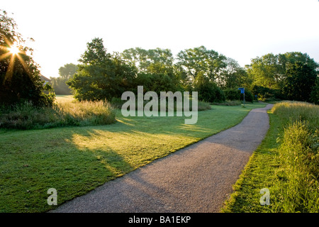 Il Tamigi ciclabile, vicino al fiume, tra Kingston e Teddington lock, adiacente al Ham Common, preso poco dopo l'alba Foto Stock