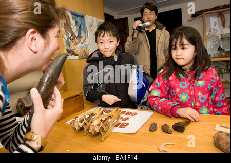 Il museo a Oxford ha una giornata della scienza per i bambini in modo da poter gestire i denti dei dinosauri e di teschi Foto Stock